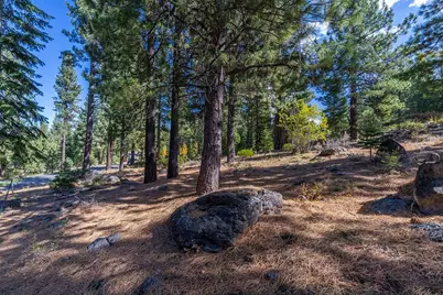 13204 Snowshoe Thompson, Truckee, CA 96161 - Photo 6