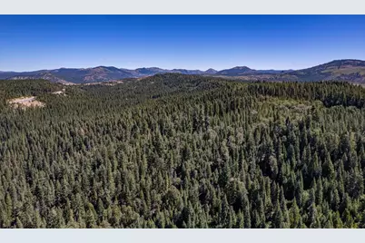 No Address Texas Hill Road, Emigrant Gap, CA 95715 - Photo 14
