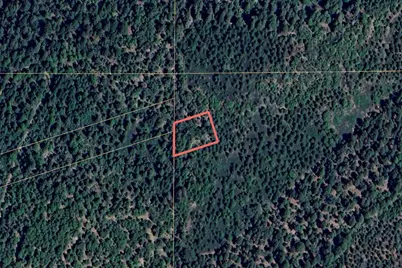 No Address Texas Hill Road, Emigrant Gap, CA 95715 - Photo 4