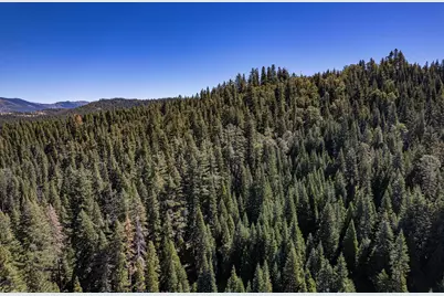 No Address Texas Hill Road, Emigrant Gap, CA 95715 - Photo 18