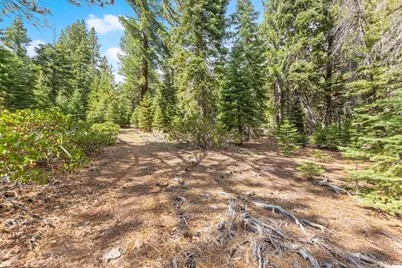 0 Barnes Drive, Truckee, CA 96161 - Photo 18