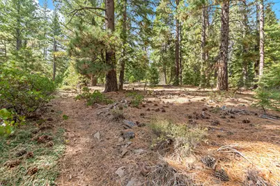 0 Barnes Drive, Truckee, CA 96161 - Photo 16