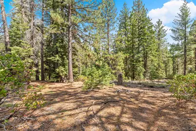 0 Barnes Drive, Truckee, CA 96161 - Photo 20
