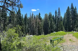 51460 Red Fir Dr, Soda Springs, CA 95728 - Photo 1