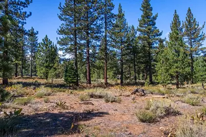 720 John McKinney, Truckee, CA 96161 - Photo 6