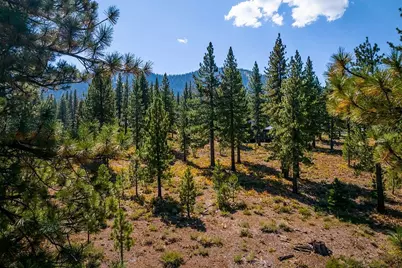 720 John McKinney, Truckee, CA 96161 - Photo 2