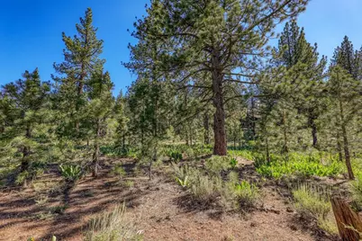 7445 Lahontan Drive, Truckee, CA 96161 - Photo 4