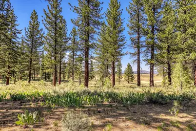 7445 Lahontan Drive, Truckee, CA 96161 - Photo 6