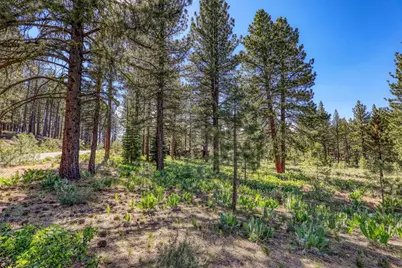 7455 Lahontan Drive, Truckee, CA 96161 - Photo 2
