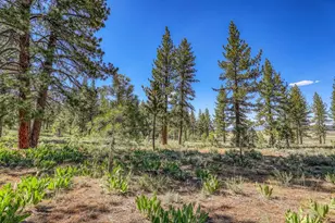 7455 Lahontan Dr, Truckee, CA 96161 - Photo 1