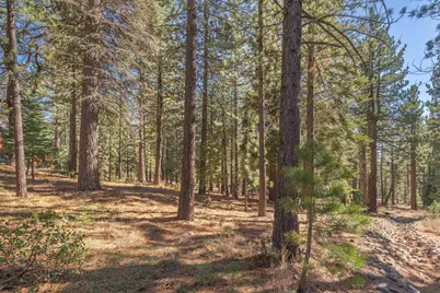 11925 Saddleback Drive, Truckee, CA 96161 - Photo 12