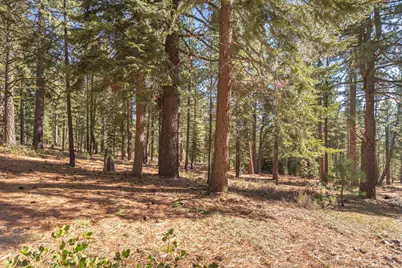 11925 Saddleback Drive, Truckee, CA 96161 - Photo 14