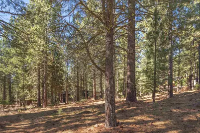 11925 Saddleback Drive, Truckee, CA 96161 - Photo 20