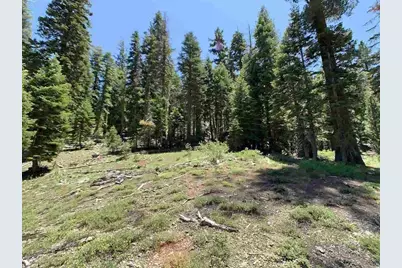 1445 & 1451 Mineral Spring Trail, Alpine Meadows, CA 94146 - Photo 6