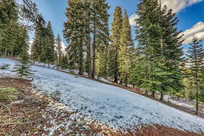 11910 Rhineland Avenue, Truckee, CA 96161 - Photo 8