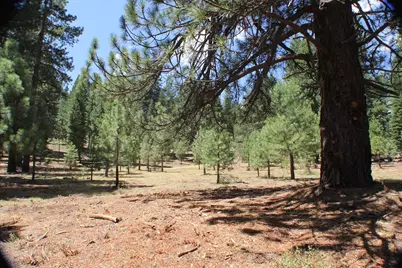 10735 Dogwood, Truckee, CA 96161 - Photo 2