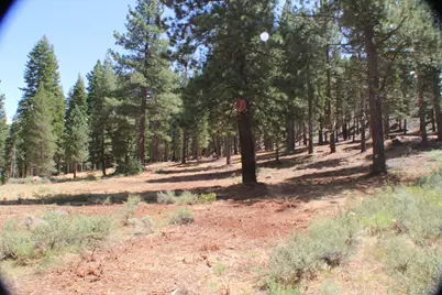 10735 Dogwood, Truckee, CA 96161 - Photo 10