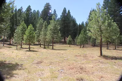 10735 Dogwood, Truckee, CA 96161 - Photo 20