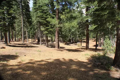 10735 Dogwood, Truckee, CA 96161 - Photo 16