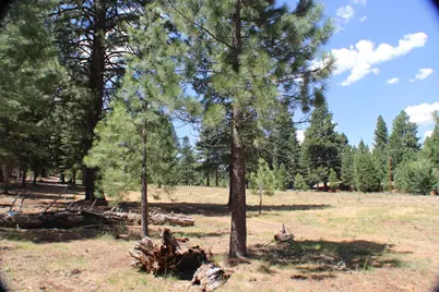 10735 Dogwood, Truckee, CA 96161 - Photo 4