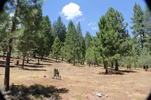 10735 Dogwood, Truckee, CA 96161 - Photo 1