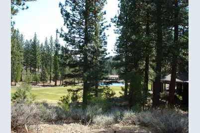 404 Blacktail Ridge, Portola, CA 96122 - Photo 6