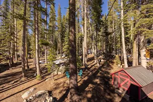 21146 Donner Pass Rd, Soda Springs, CA 95728 - Photo 24