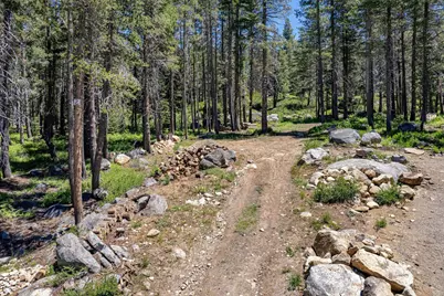 10019 Bunny Hill Road, Soda Springs, CA 95728 - Photo 4