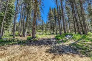 10019 Bunny Hl Rd, Soda Springs, CA 95728 - Photo 2