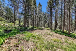 10019 Bunny Hl Rd, Soda Springs, CA 95728 - Photo 16