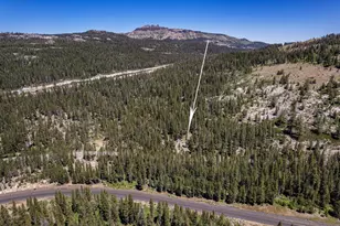 10019 Bunny Hl Rd, Soda Springs, CA 95728 - Photo 8