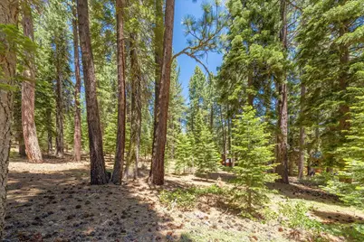 11752 Saddleback Drive, Truckee, CA 96161 - Photo 10