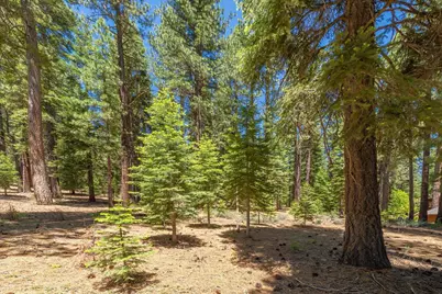 11752 Saddleback Drive, Truckee, CA 96161 - Photo 4