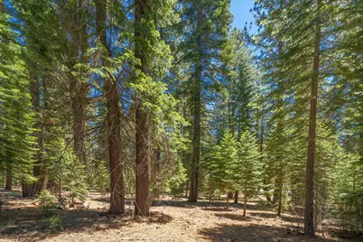 11752 Saddleback Drive, Truckee, CA 96161 - Photo 14