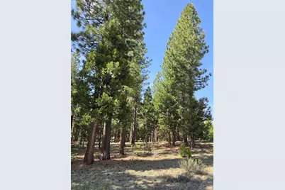 762 Blacktail Ridge, Portola, CA 96122 - Photo 4