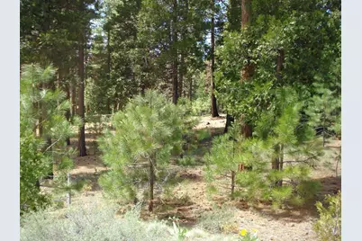 745 Blacktail Ridge, Portola, CA 96122 - Photo 4