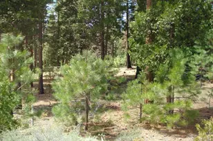 745 Blacktail Ridge, Portola, CA 96122 - Photo 4