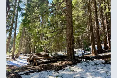 84 Yonkalla Trail, Graeagle, CA 96103 - Photo 18