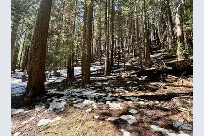 84 Yonkalla Trail, Graeagle, CA 96103 - Photo 20