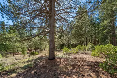 11850 Bottcher Loop, Truckee, CA 96161 - Photo 18