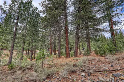 11301 China Camp Road, Truckee, CA 96161 - Photo 18