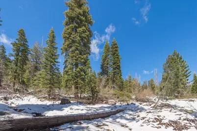 51337 Jeffery Pine Drive, Soda Springs, CA 95728 - Photo 18