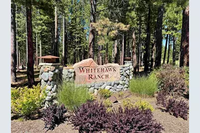 22 Fox Tail Lane, Clio, CA 96106 - Photo 24
