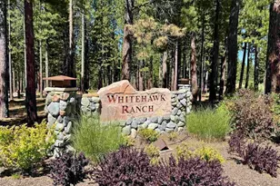 22 Fox Tail Ln, Clio, CA 96106 - Photo 24