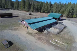 1200 1101 1000 Golden Feather Ranch Rd, Graeagle, CA 96103 - Photo 8
