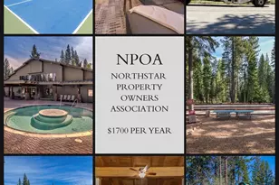 3026 Silver Strike, Truckee, CA 96161 - Photo 18