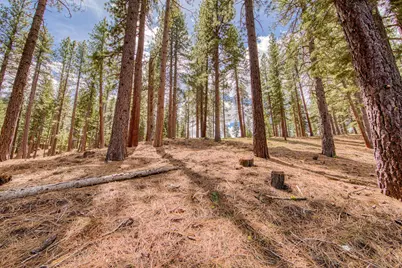 15675 Donnington Lane, Truckee, CA 96160 - Photo 8