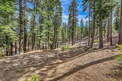 8861 Glen Drive, Tahoma, CA 96141 - Photo 8