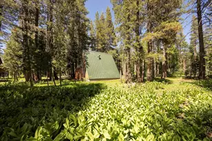2051 Soda Springs Rd, Soda Springs, CA 95728 - Photo 4