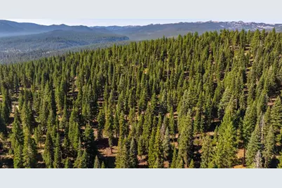 11494 Alder Hill Road, Truckee, CA 96161 - Photo 20